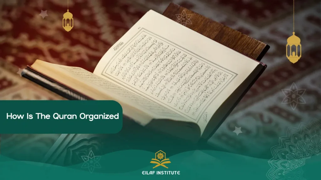 how is the quran organized?