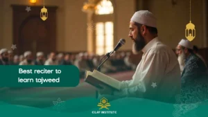 best reciter to learn tajweed