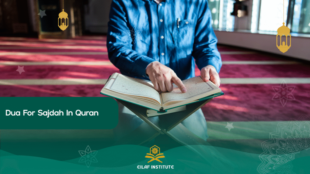 best-way-to-understand-quran