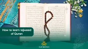 how to lean tajweed of quran