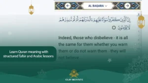 Translation vs Tafsir